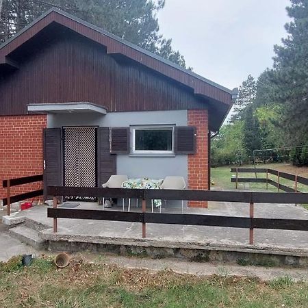 House For Us Vinci Villa Екстериор снимка